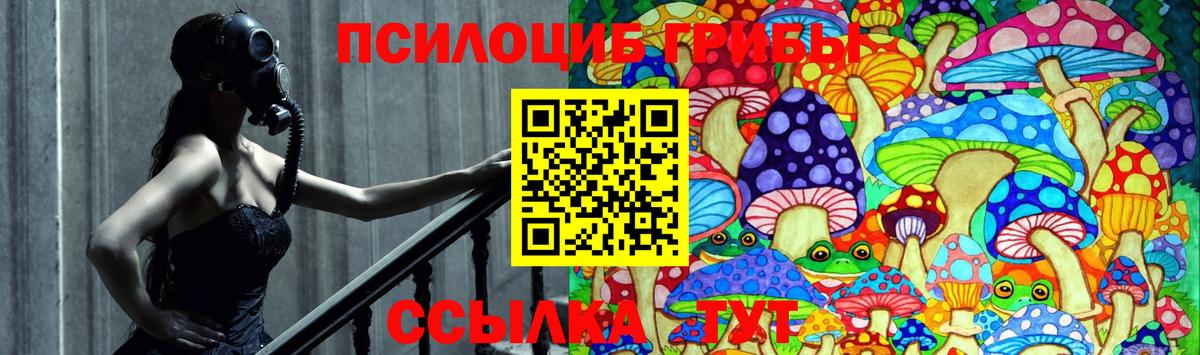 Прокопьевск  Галлюциногенные грибы MAGIC MUSHROOMS  Галлюциногенные грибы Psilocybe  Вход с VPN 