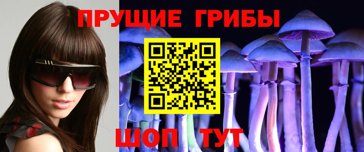 Псилоцибиновые грибы Cubensis Прокопьевск
